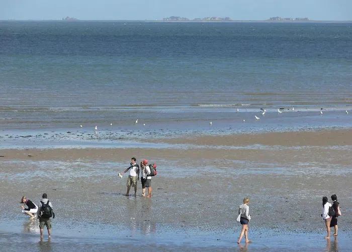 Lägenhet Viktor-jaeger-stiftung Nebel